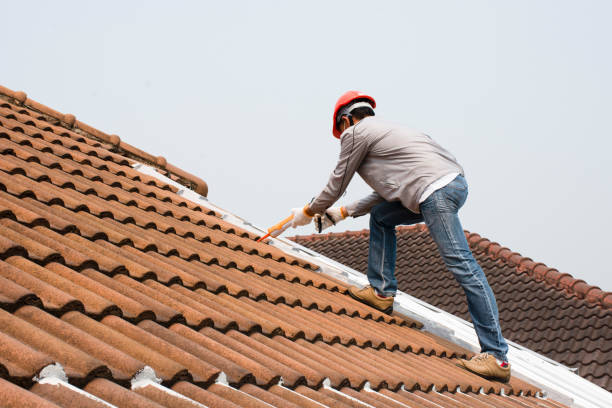 Best Asphalt Shingle Roofing  in Sterling, CO